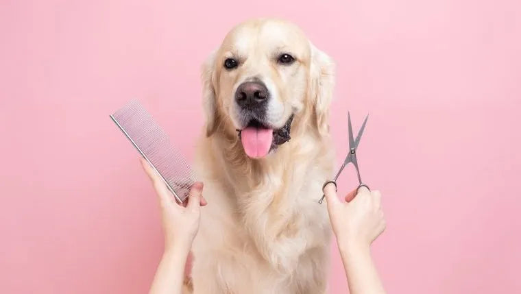 Organic grooming brushes