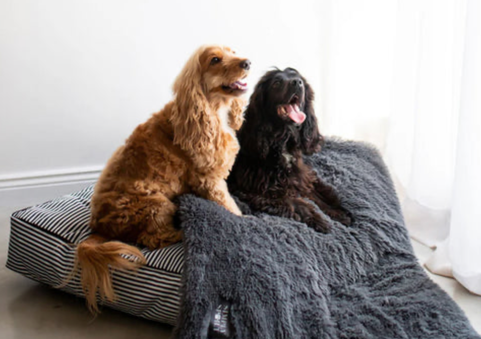 Calming Pet Bed – Plush, Cozy, & Anti-Anxiety Bed