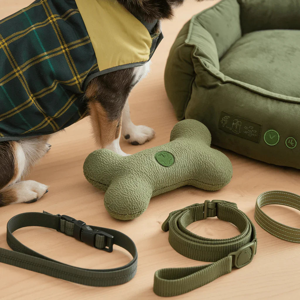 Eco-Friendly Pet Products