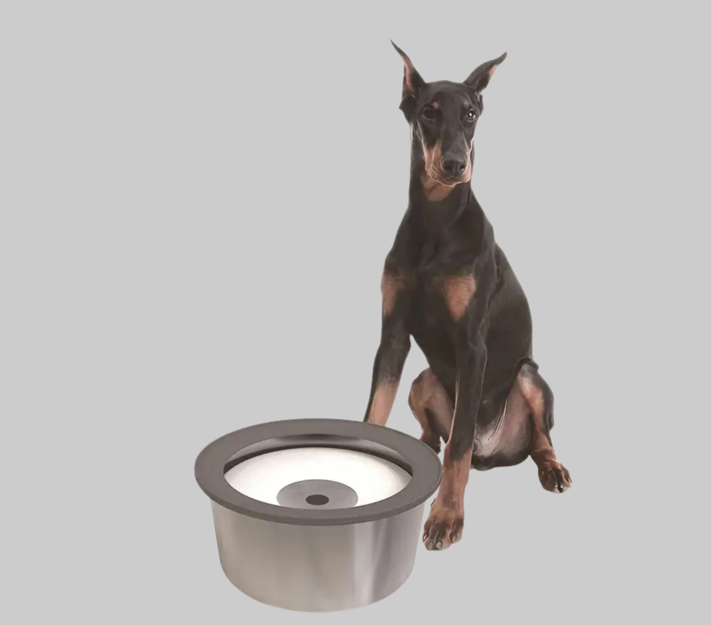 Stainless Steel Anti-Spill Dog Water Bowl – Floating Disk Design, Slow Feeder & Non-Wet Mouth Drinking Bowl for Indoor, Outdoor & Travel Use