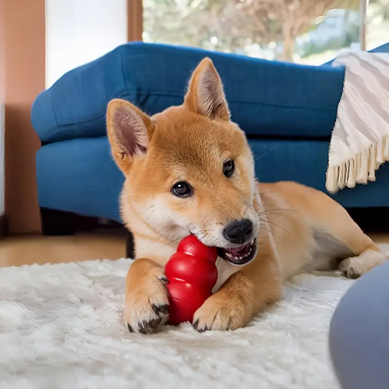 Durable Chew-Proof Dog Toy – Treat-Dispensing Bouncing Rubber Ball for Small to Medium Breeds