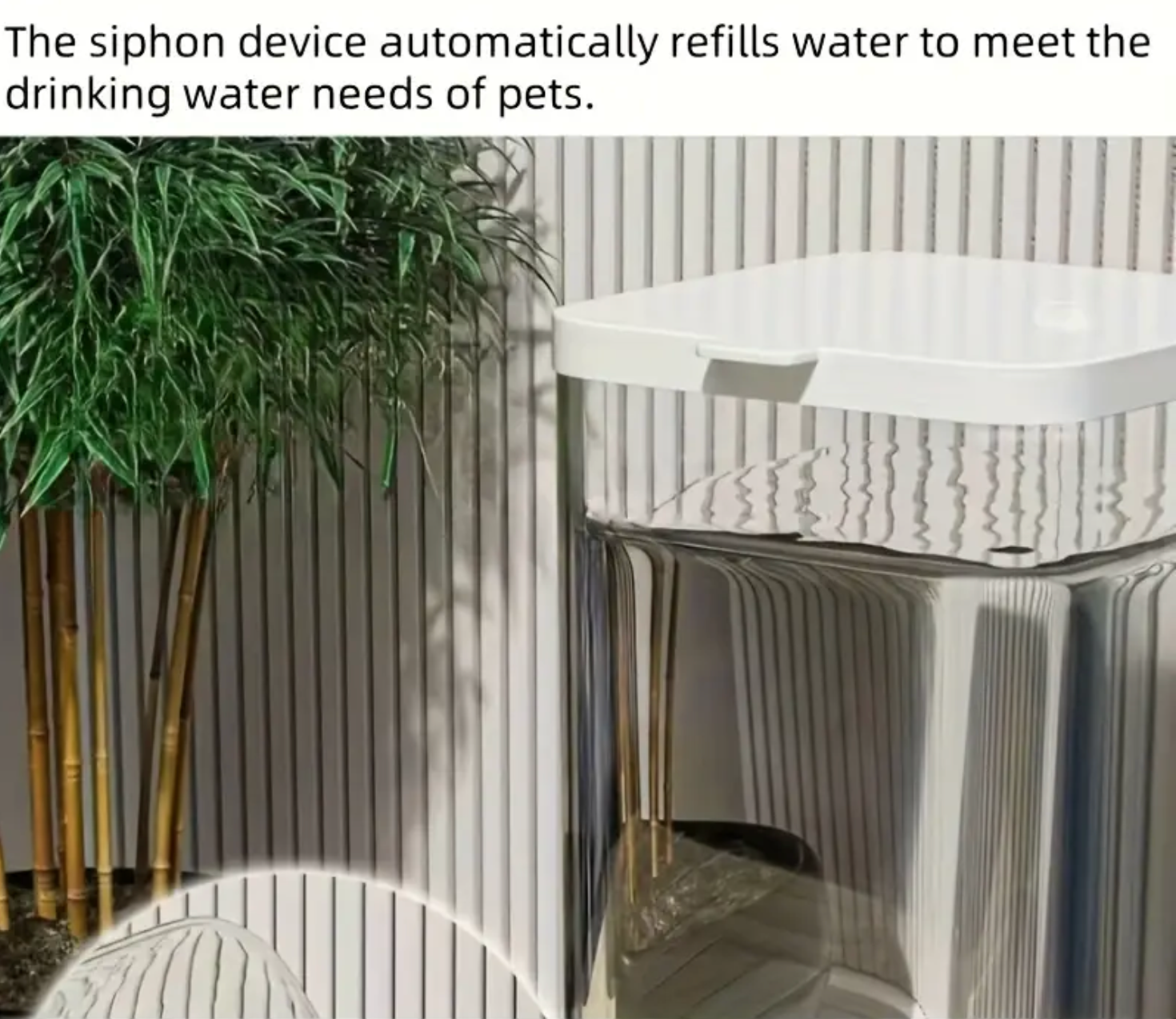 Smart automatic feeder for dogs and cats