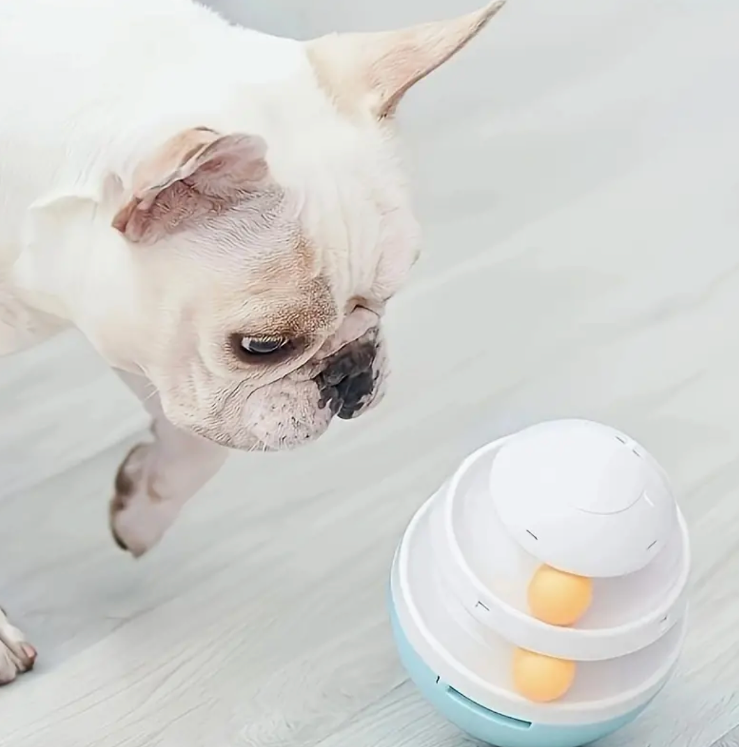 Interactive Smart Pet Food Dispenser – Anti-Choking Design