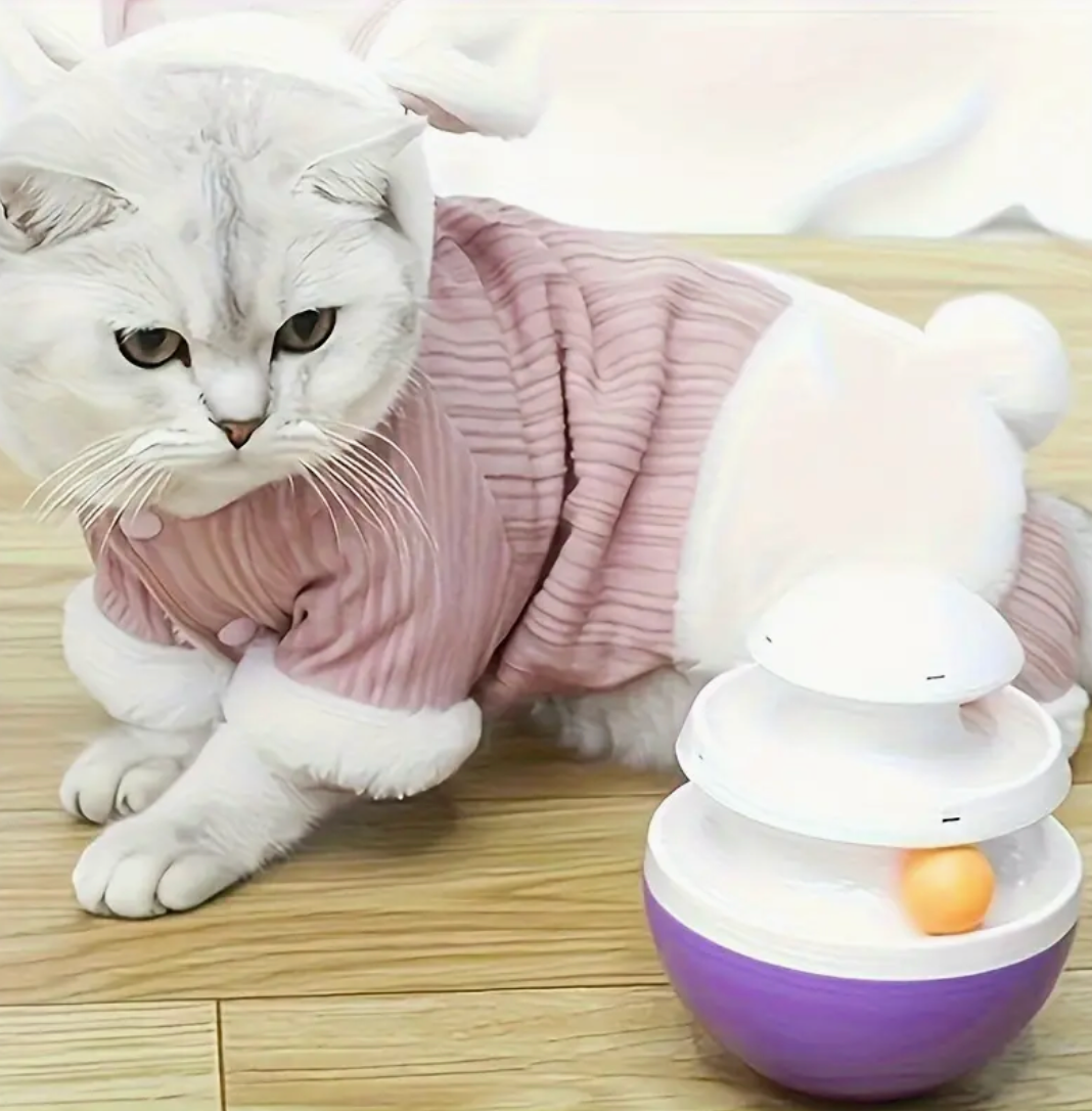 Interactive Smart Pet Food Dispenser – Anti-Choking Design