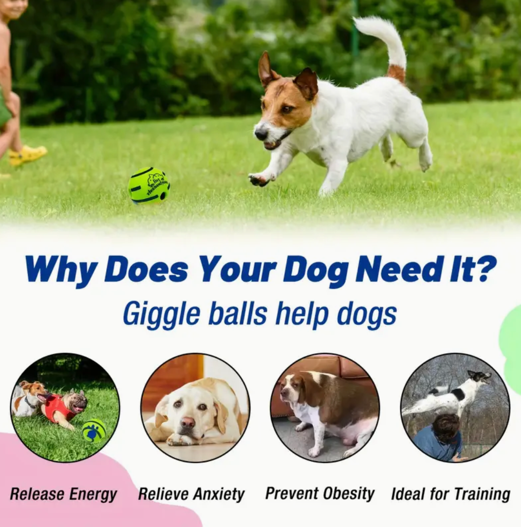 Pet Voice Ball Toy – Dog IQ Training Ball (No Battery Required)