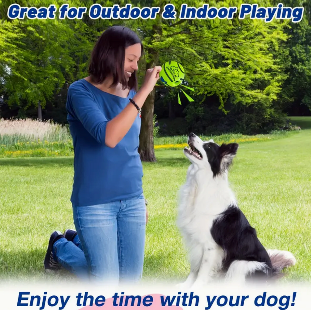 Pet Voice Ball Toy – Dog IQ Training Ball (No Battery Required)