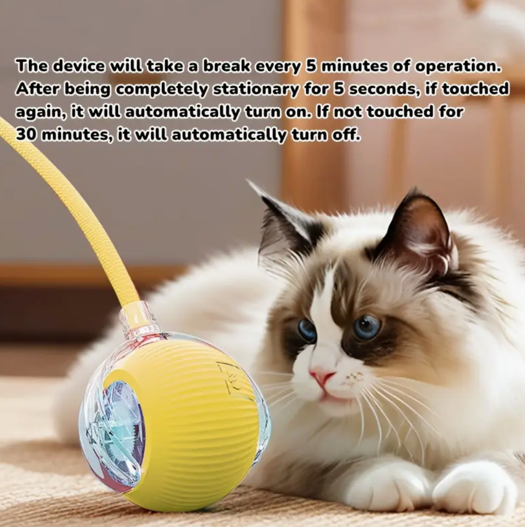 USB Rechargeable Interactive Automatic Cat Toy Ball