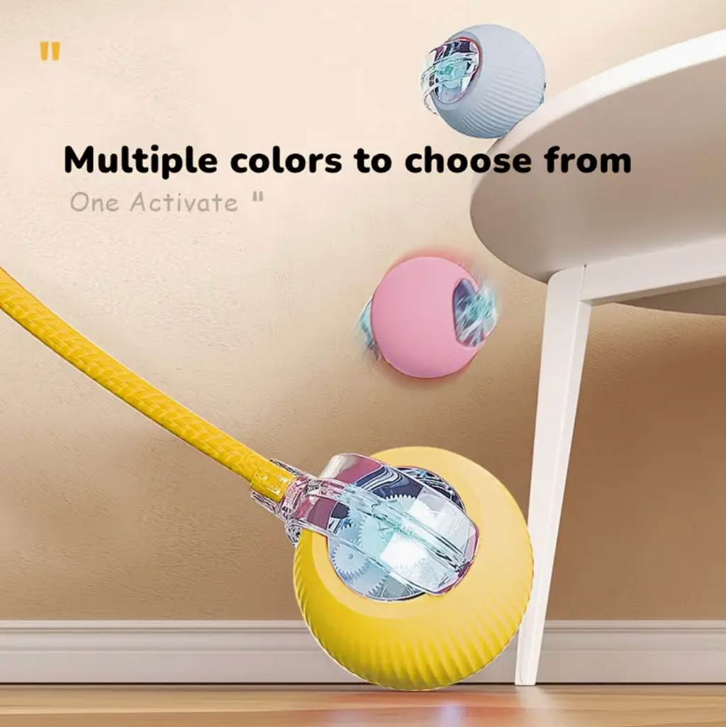 USB Rechargeable Interactive Automatic Cat Toy Ball