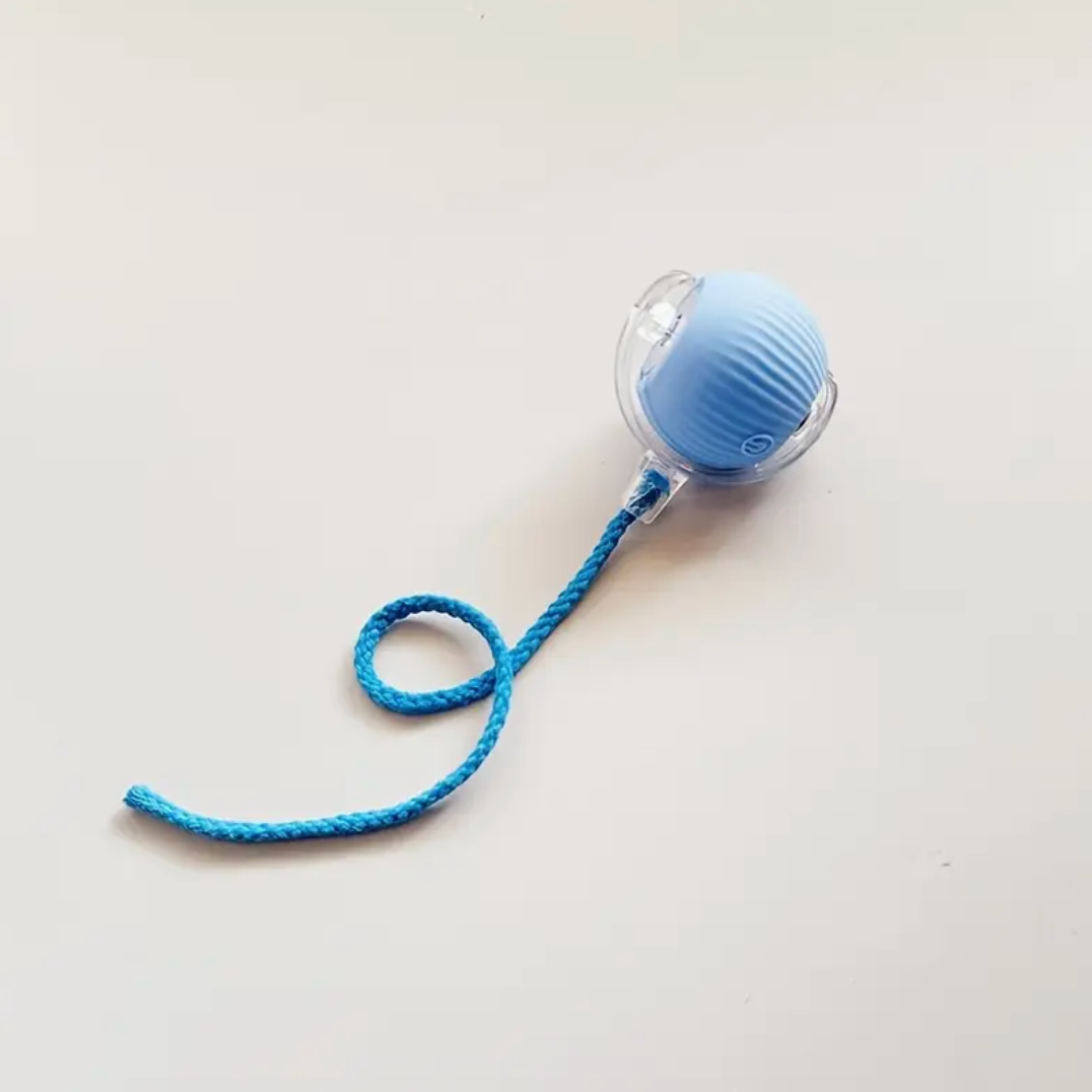 USB Rechargeable Interactive Automatic Cat Toy Ball