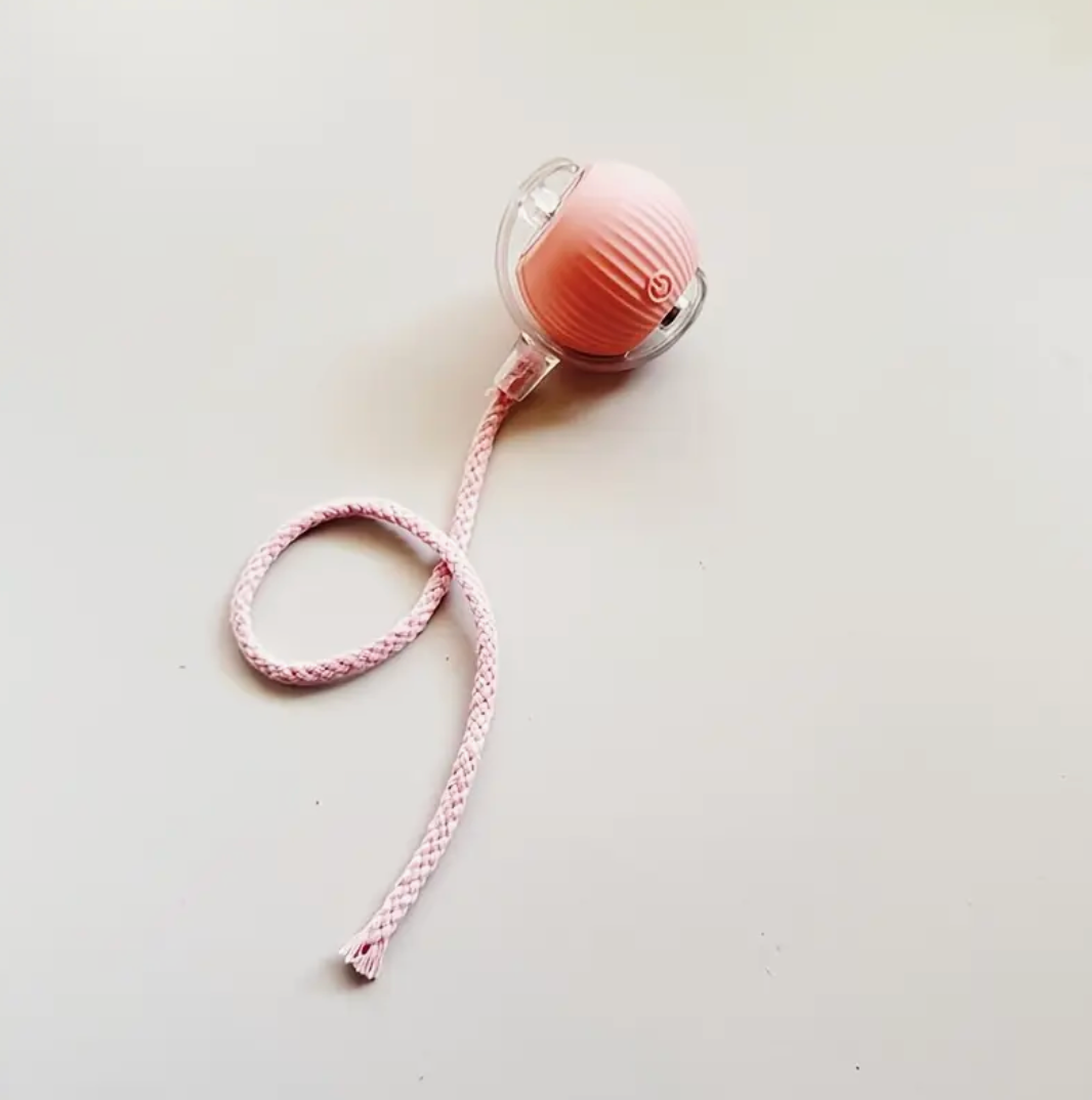 USB Rechargeable Interactive Automatic Cat Toy Ball