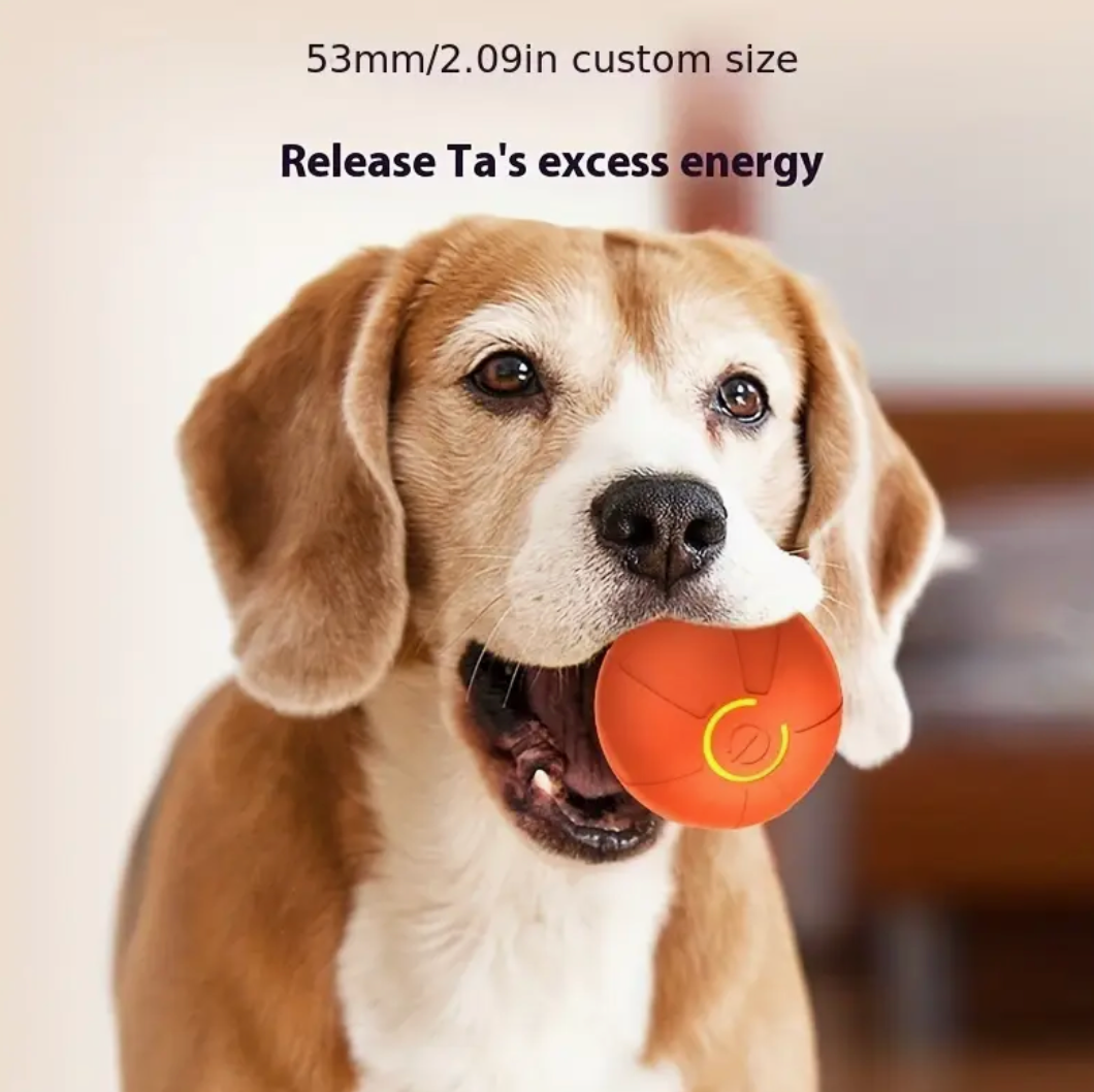Rechargeable Pet Toy Ball for Cats and Dogs