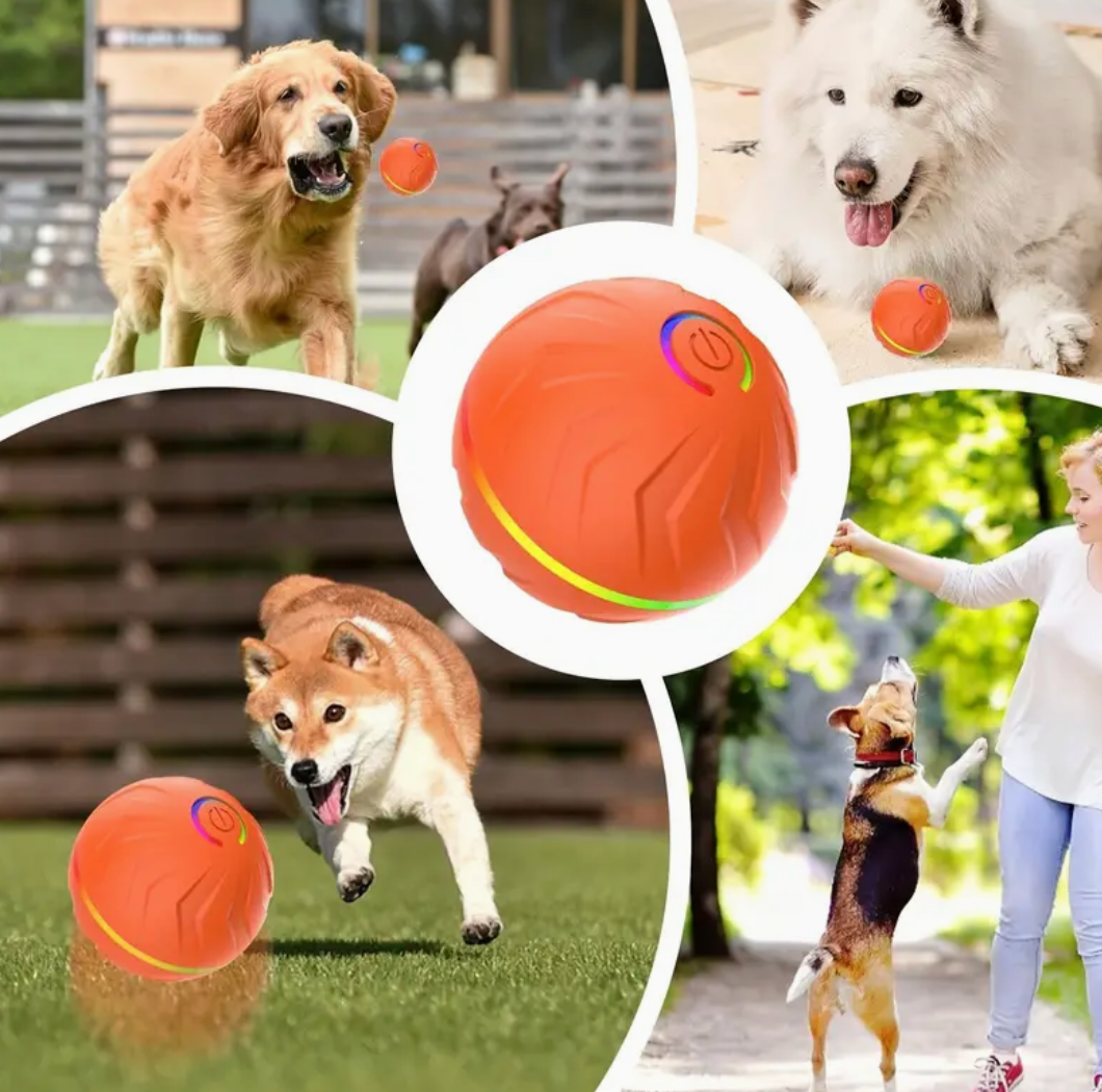 Upgraded Large Size Dog/Cat Jumping Ball