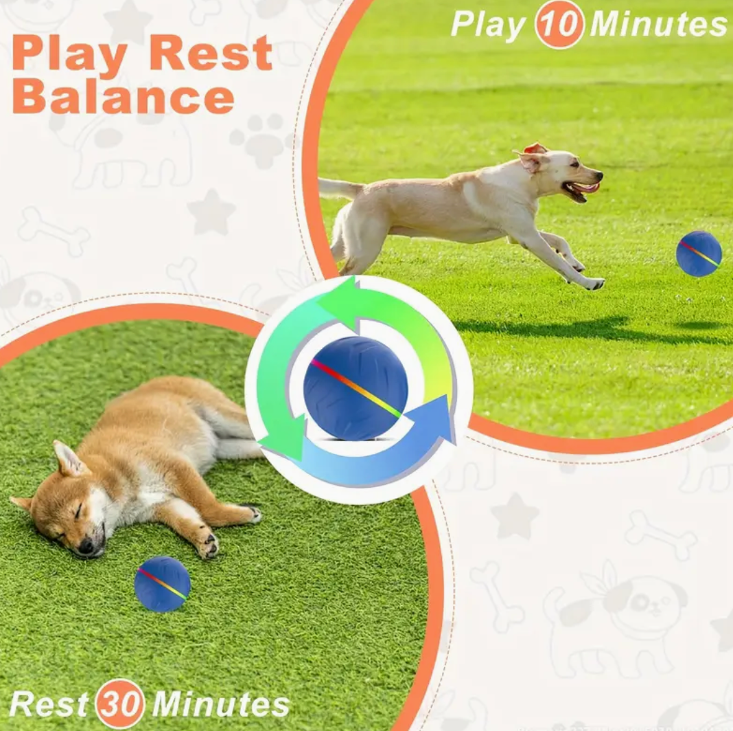 Upgraded Large Size Dog/Cat Jumping Ball
