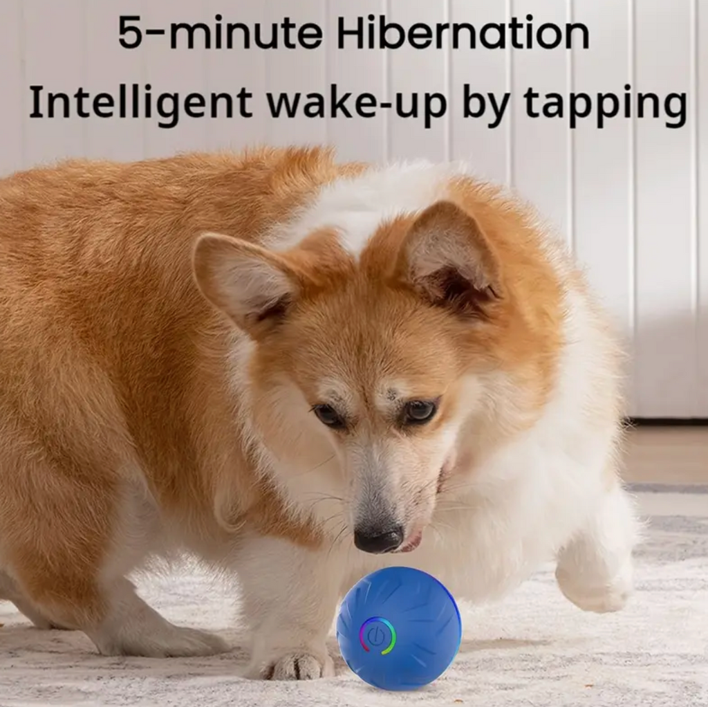 Upgraded Large Size Dog/Cat Jumping Ball