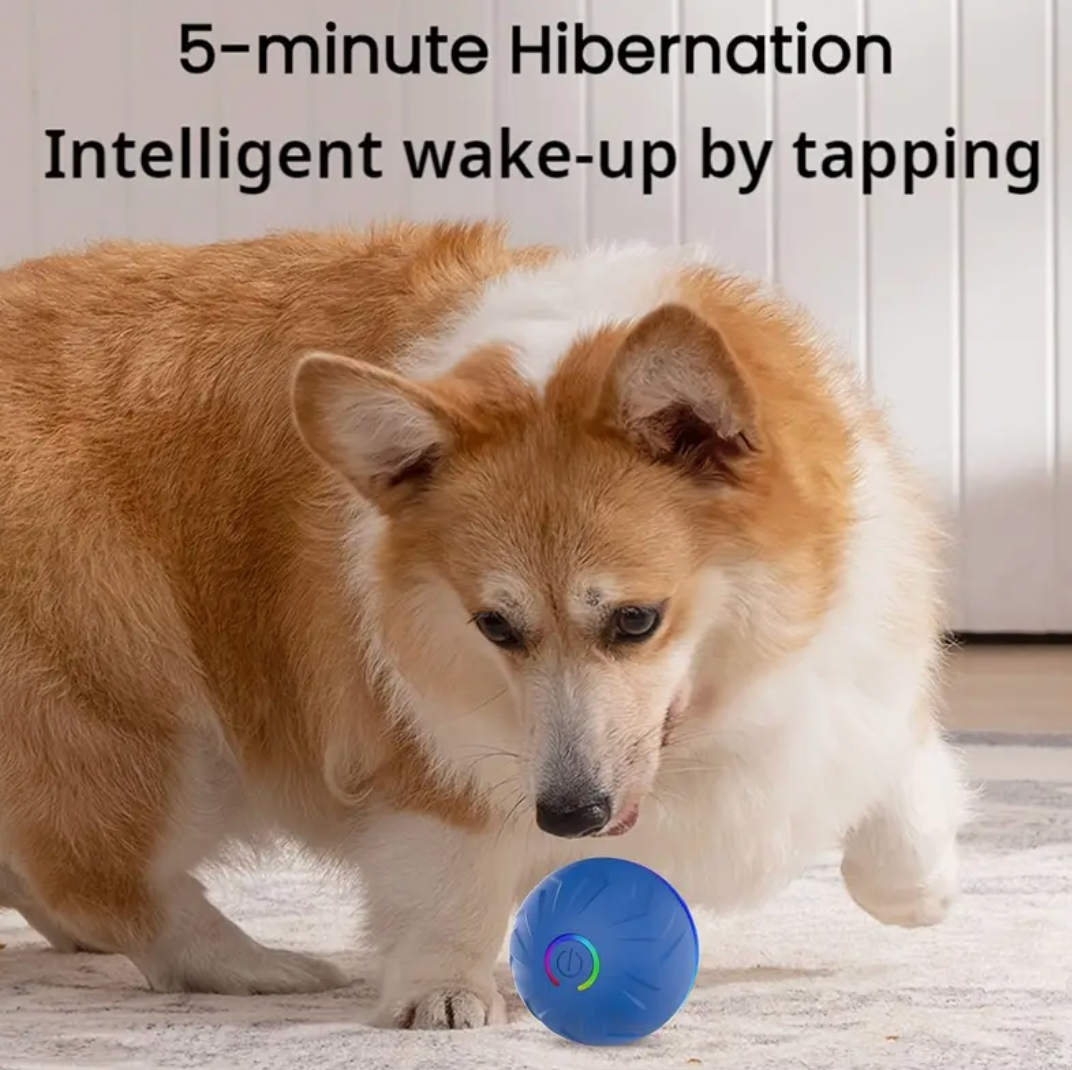 Upgraded Large Size Dog/Cat Jumping Ball