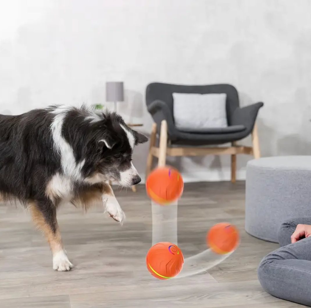 Upgraded Large Size Dog/Cat Jumping Ball
