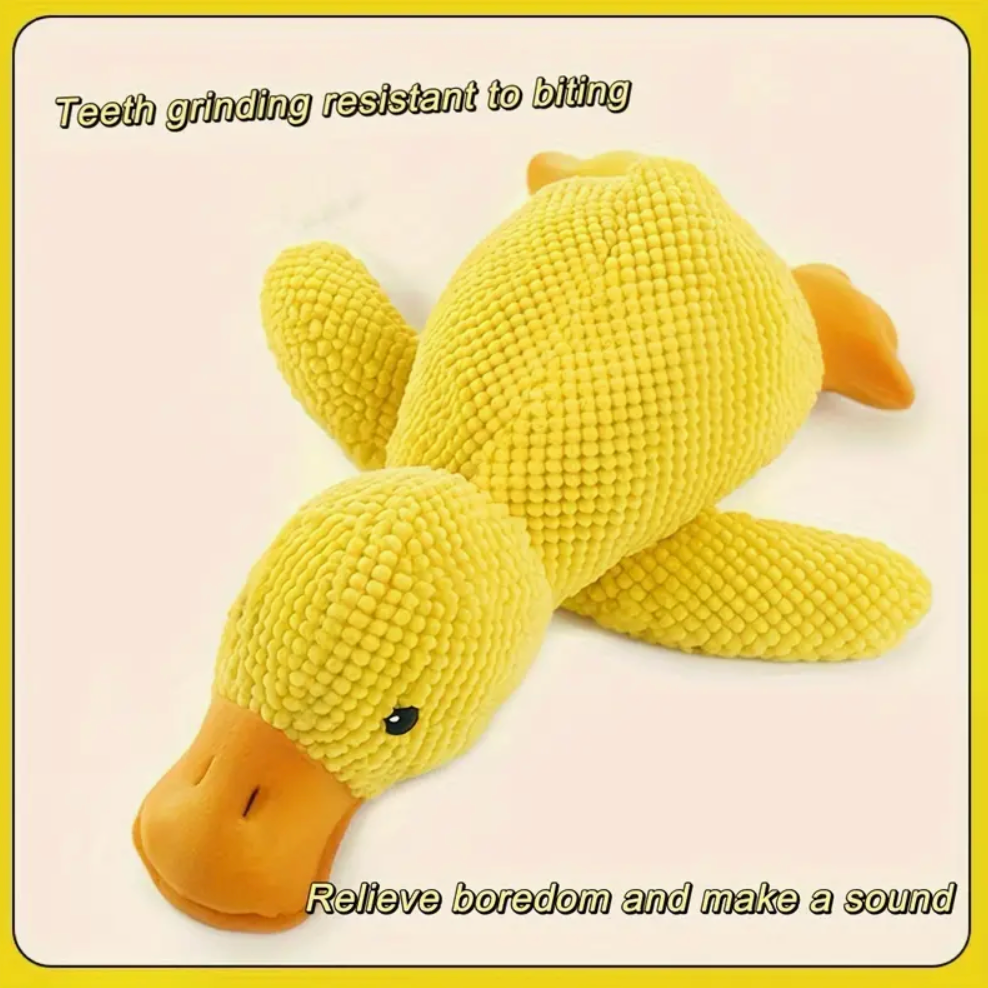 Large Dog Chew Toy With Interactive Squeaker