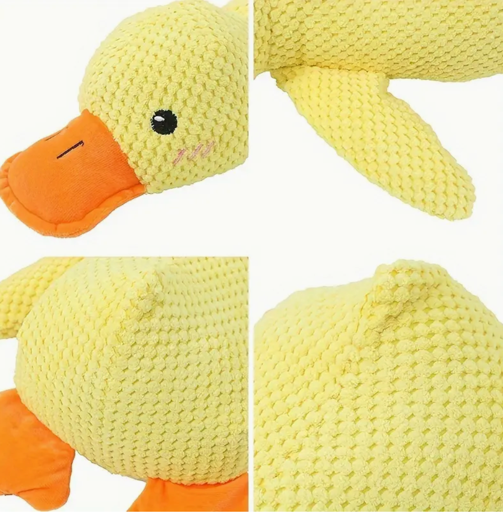 Large Dog Chew Toy With Interactive Squeaker