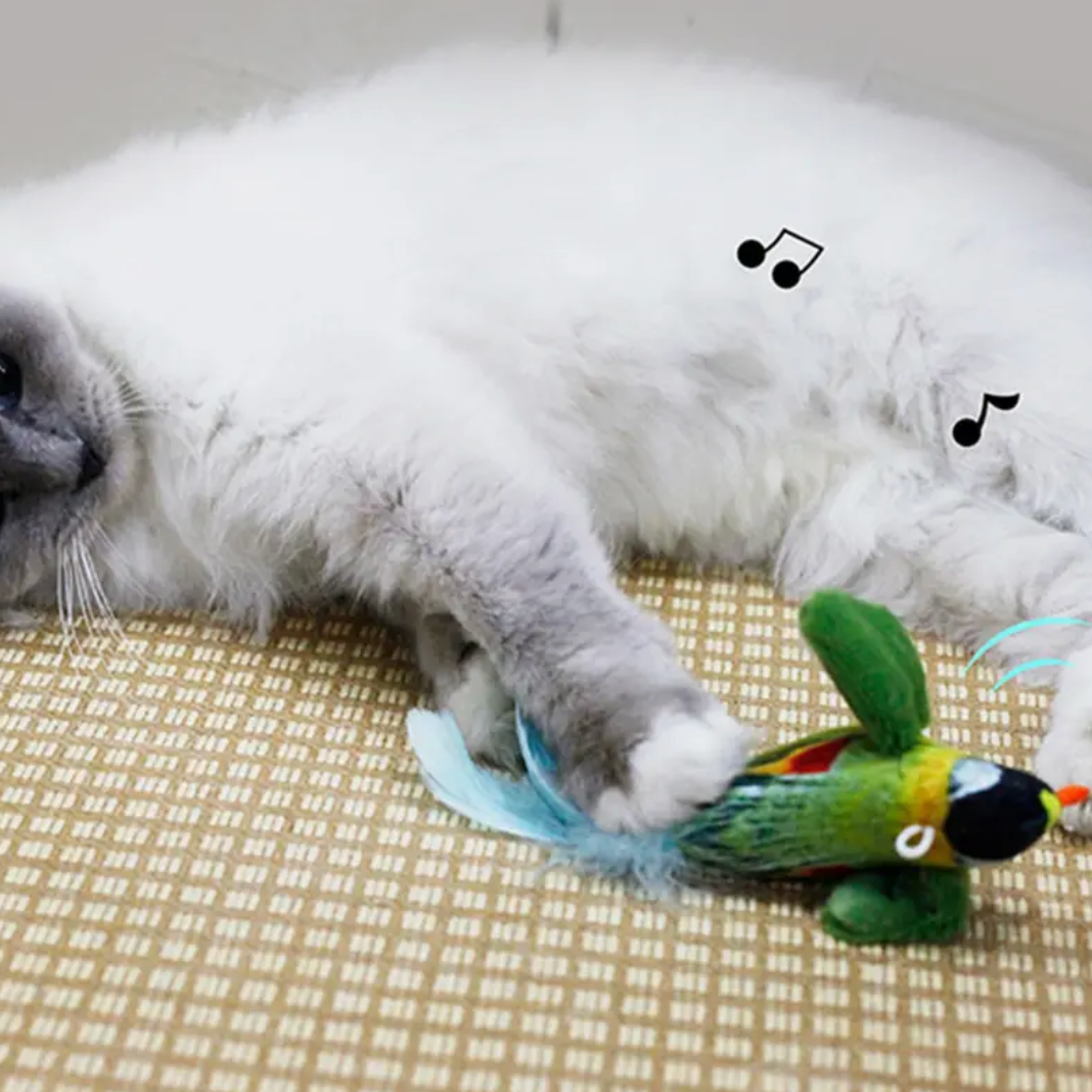 Interactive Simulated Bird Cat Toy (1pc)