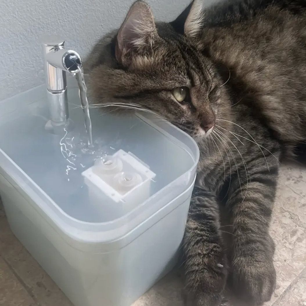 1.5L Automatic Cat Water Fountain – Gravity-Fed, Low Voltage, Continuous Fresh Flow for Multi-Cat Homes