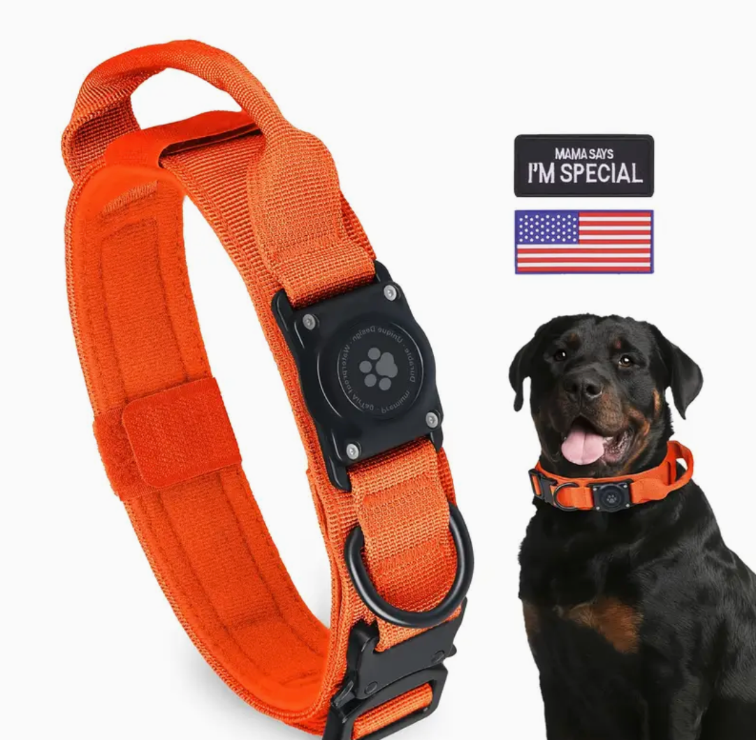 Durable Tactical Dog Collar with Integrated AirTag Holder – Heavy-Duty, Padded, Adjustable Collar for Medium to Large Dogs