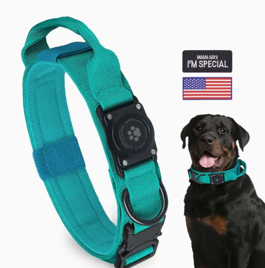 Durable Tactical Dog Collar with Integrated AirTag Holder – Heavy-Duty, Padded, Adjustable Collar for Medium to Large Dogs