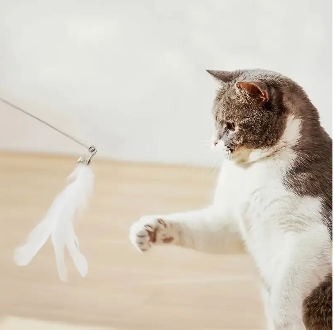 Interactive Cat Feather Toy with Suction Cup Base – Durable Stick, Realistic Feather Design, No Battery Needed