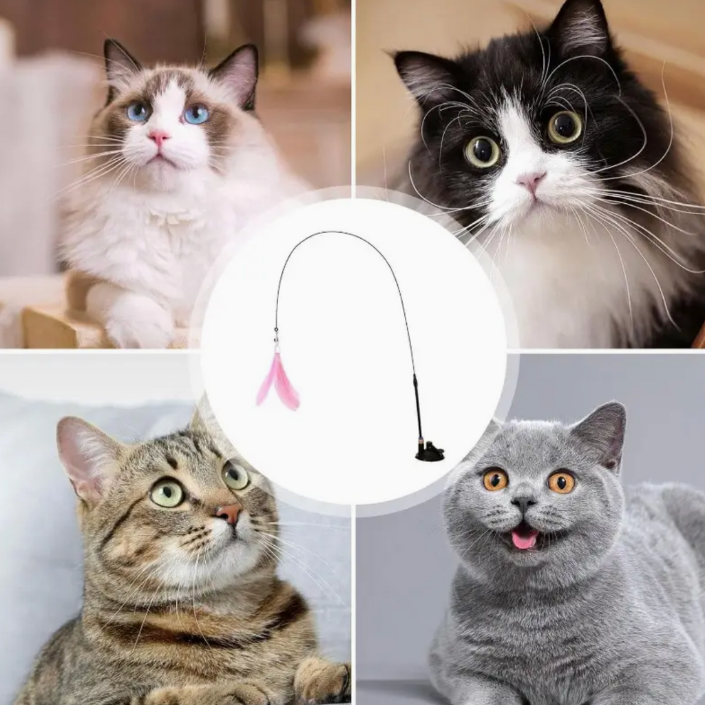 Interactive Cat Feather Toy with Suction Cup Base – Durable Stick, Realistic Feather Design, No Battery Needed