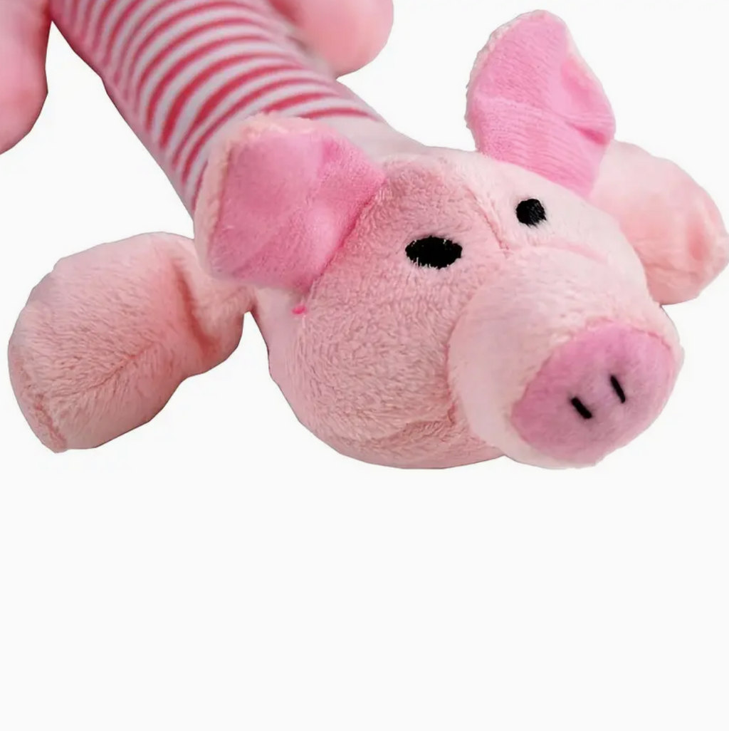Durable Squeaky Dog Chew Toy – Interactive Design for Aggressive Chewers