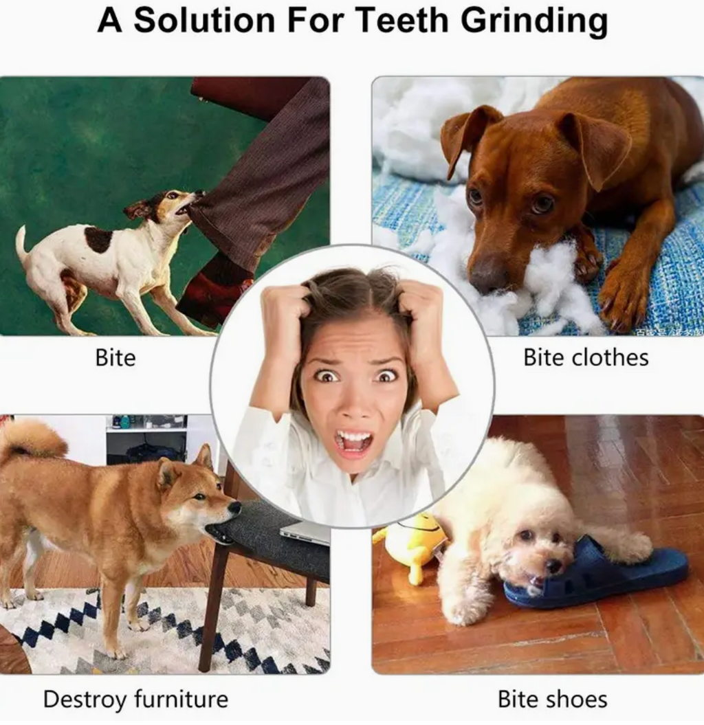 Interactive Rubber Dog Ball Toy – Elastic Chew Toy & Treat Dispenser for Dogs