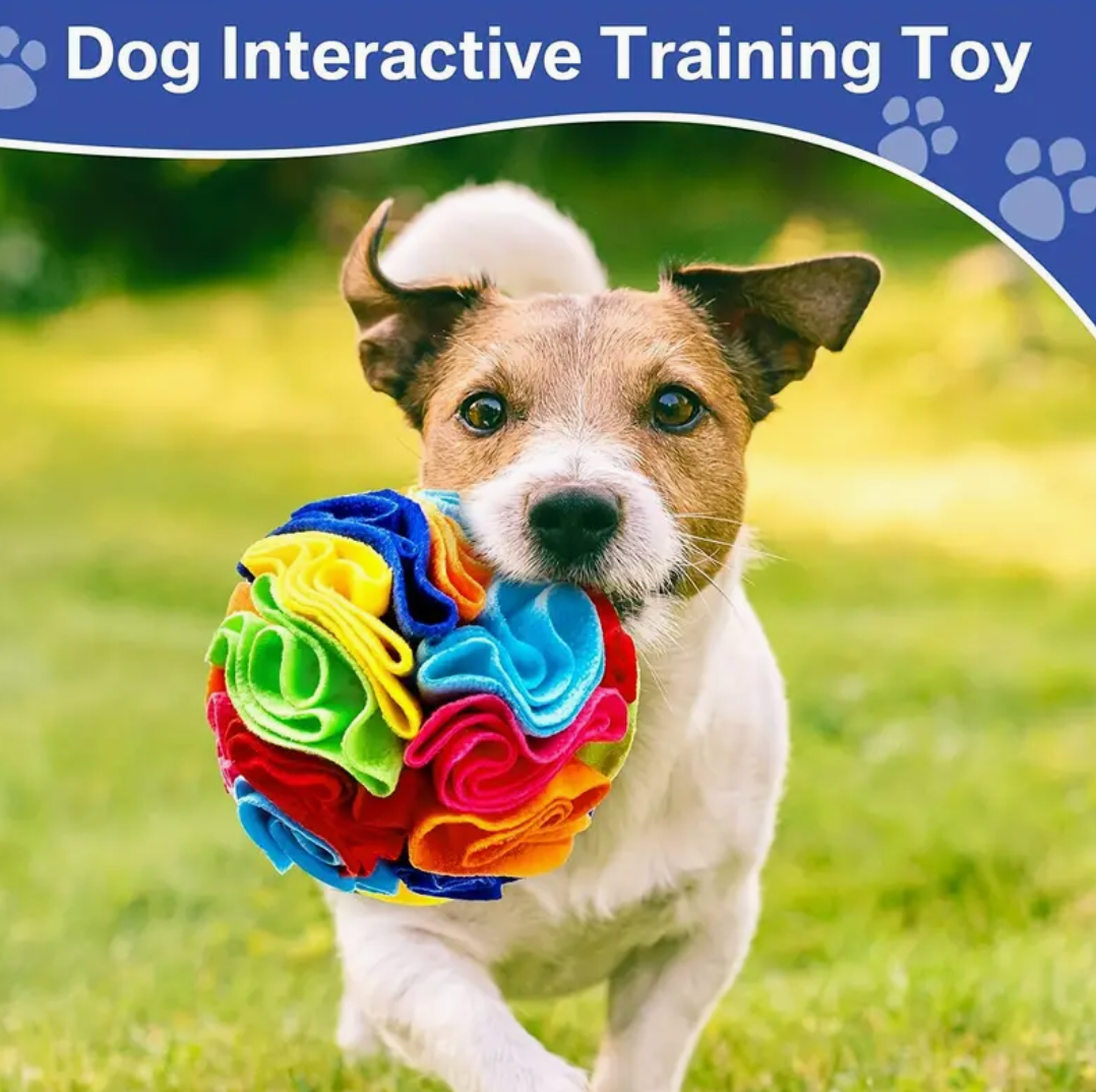 Interactive Snuffle Ball for Dogs – Foraging & Sniffing Toy for ALL Breeds