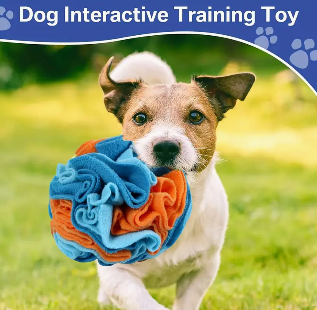Interactive Snuffle Ball for Dogs – Foraging & Sniffing Toy for ALL Breeds
