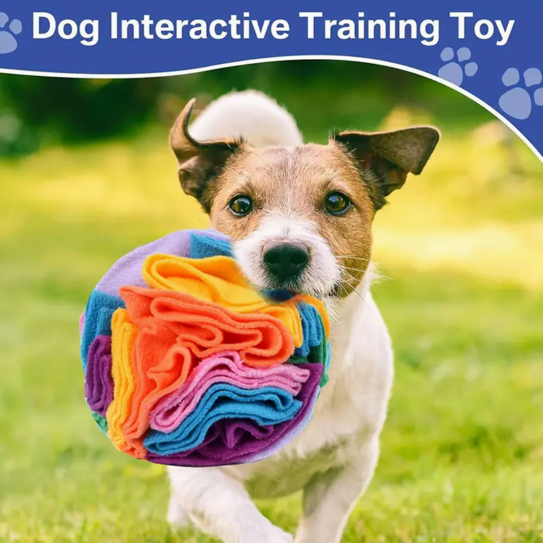 Interactive Snuffle Ball for Dogs – Foraging & Sniffing Toy for ALL Breeds