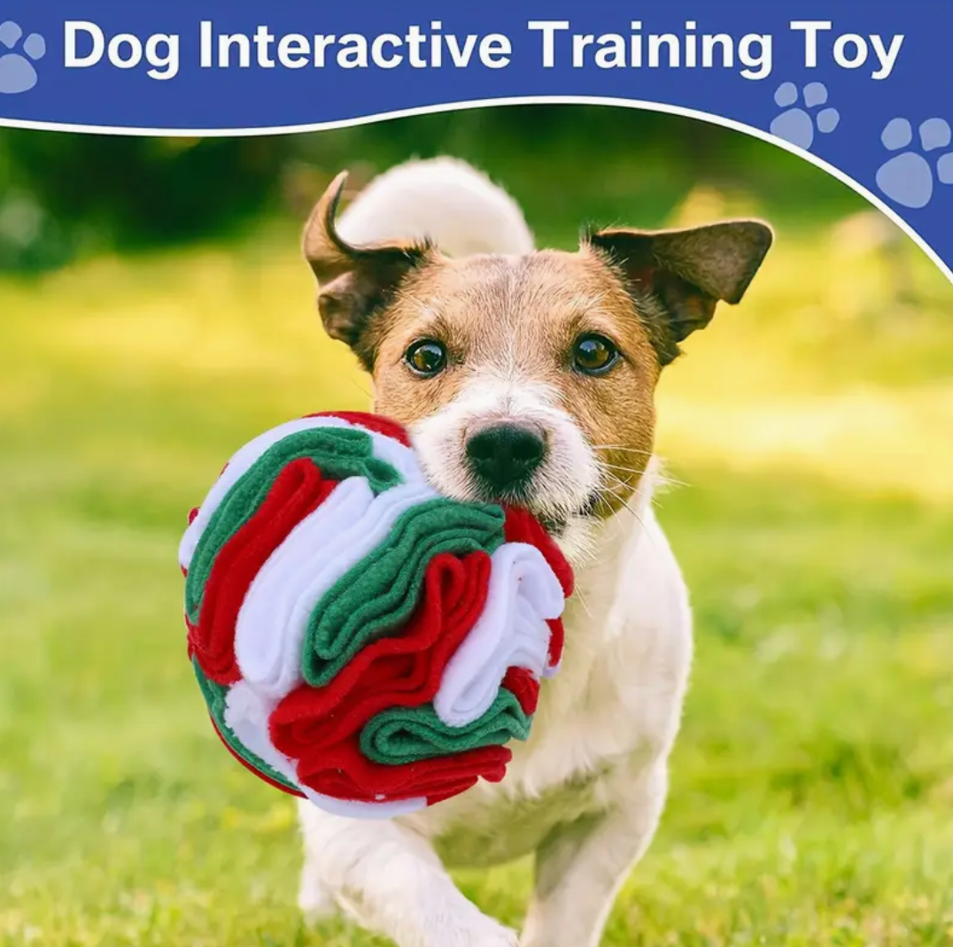 Interactive Snuffle Ball for Dogs – Foraging & Sniffing Toy for ALL Breeds