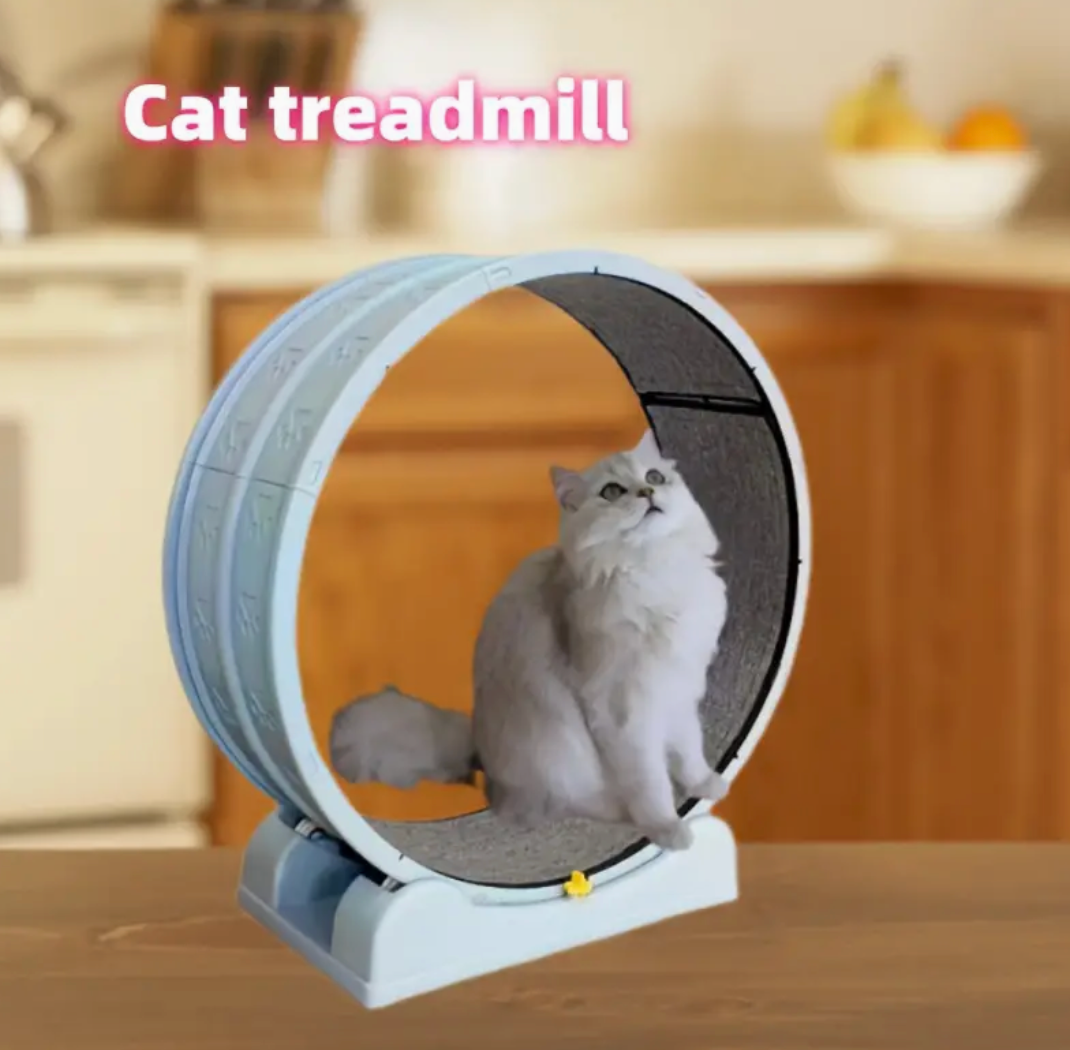 2025 Newest Cat Exercise Wheel with Small Base – Silent Running Wheel for Indoor Cats