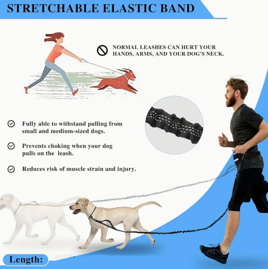 Hands-Free Dog Leash with Zipper Pouch & Dual Handles – Bungee Leash for Walking, Jogging & Training
