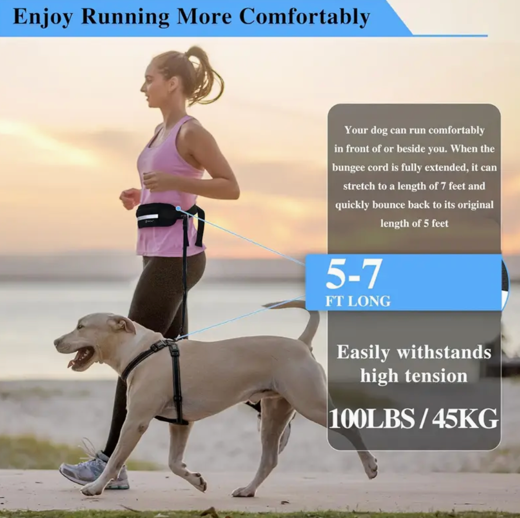 Hands-Free Dog Leash with Zipper Pouch & Dual Handles – Bungee Leash for Walking, Jogging & Training