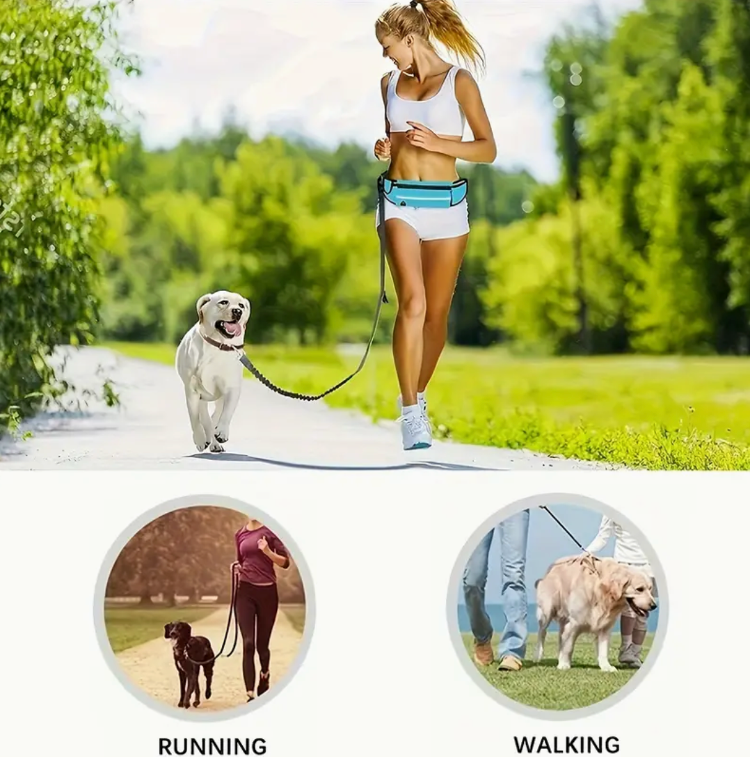Hands-Free Dog Leash with Zipper Pouch & Dual Handles – Bungee Leash for Walking, Jogging & Training