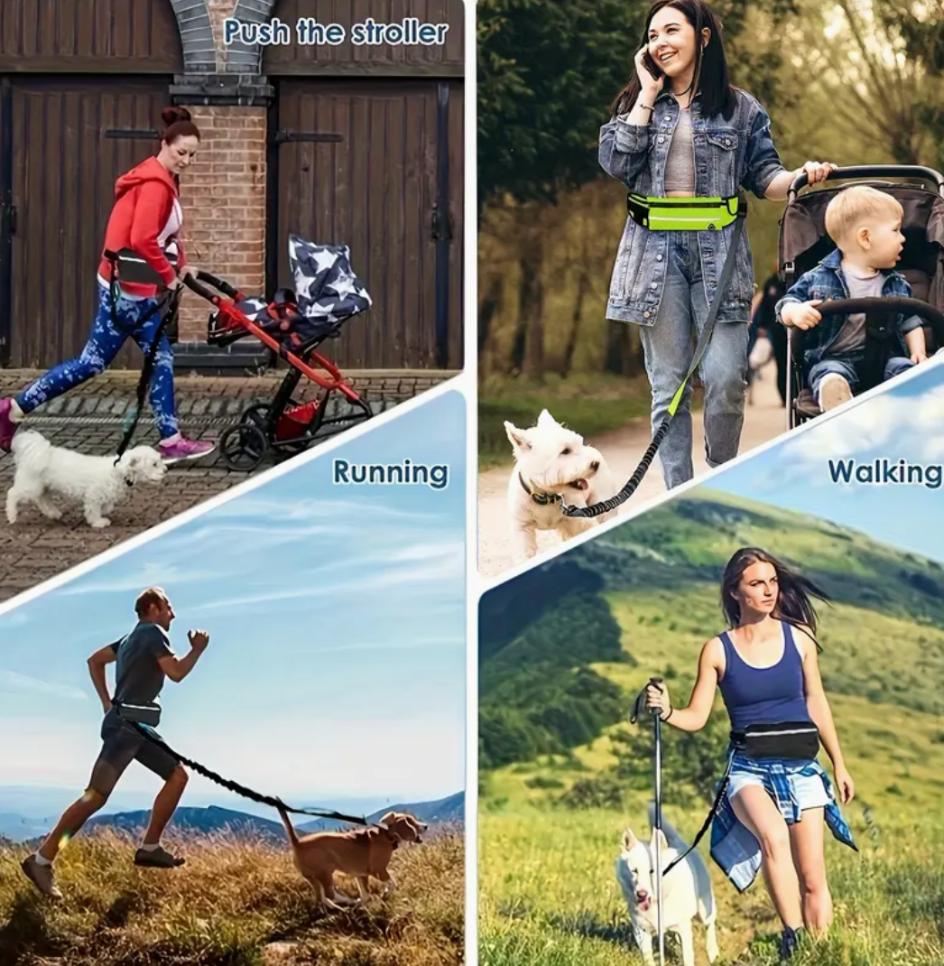 Hands-Free Dog Leash with Zipper Pouch & Dual Handles – Bungee Leash for Walking, Jogging & Training