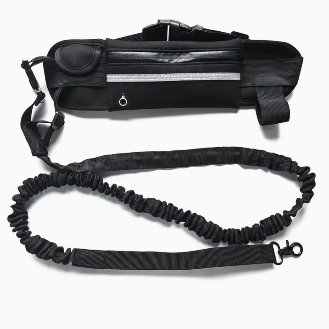 Hands-Free Dog Leash with Zipper Pouch & Dual Handles – Bungee Leash for Walking, Jogging & Training