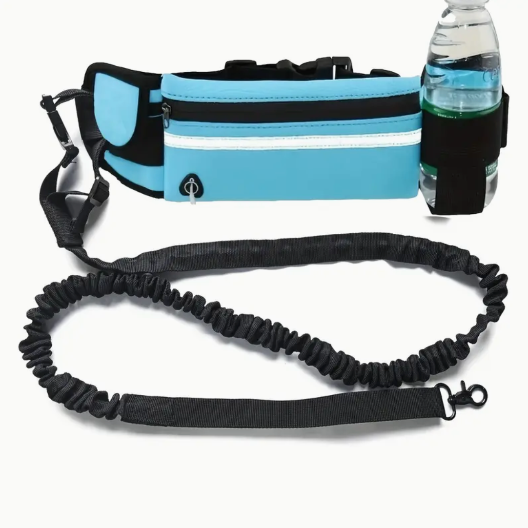 Hands-Free Dog Leash with Zipper Pouch & Dual Handles – Bungee Leash for Walking, Jogging & Training