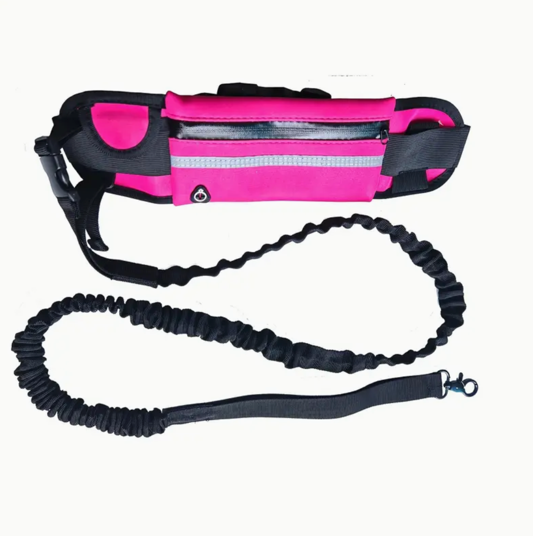 Hands-Free Dog Leash with Zipper Pouch & Dual Handles – Bungee Leash for Walking, Jogging & Training