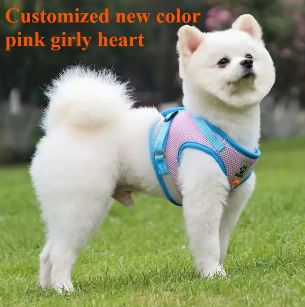 Cat & Dog Vest-Style Harness with Leash – Adjustable Escape-Proof Safety Set