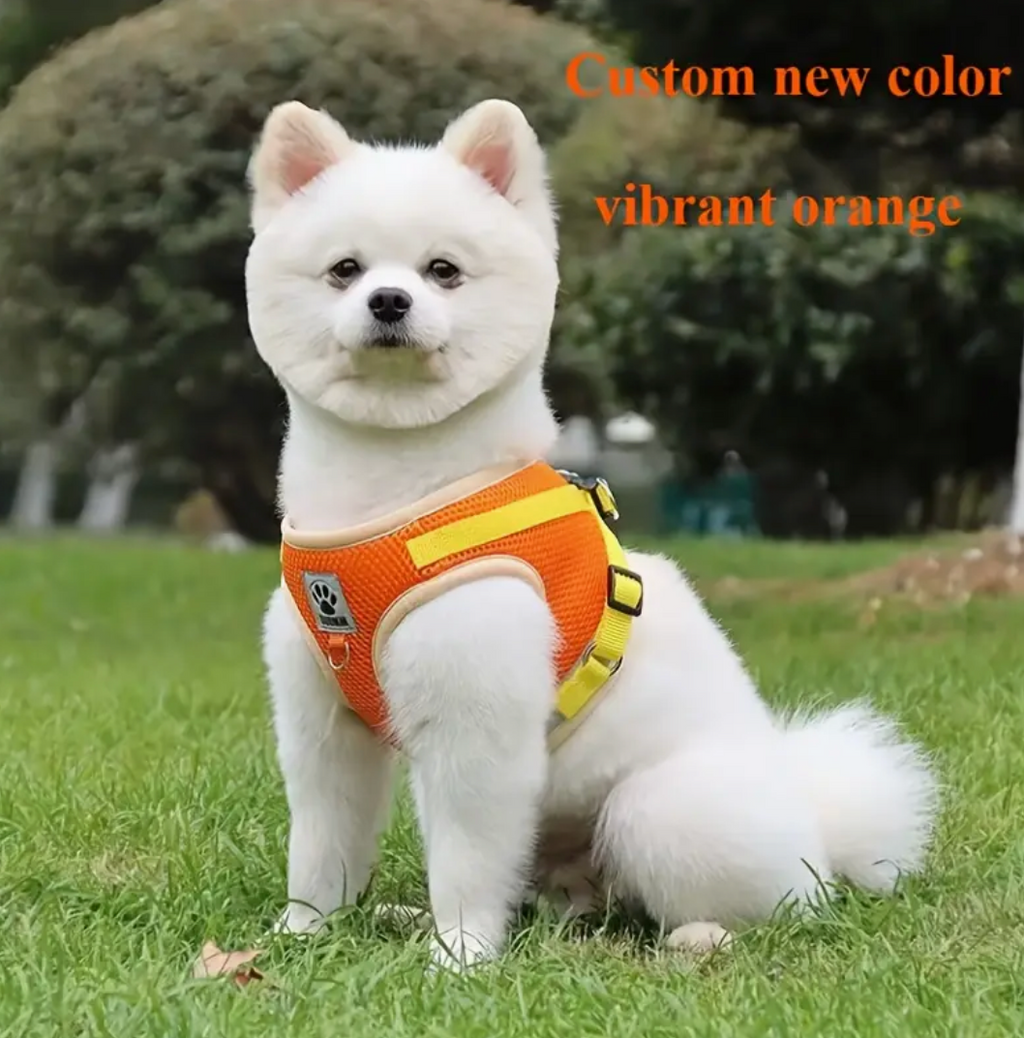 Cat & Dog Vest-Style Harness with Leash – Adjustable Escape-Proof Safety Set