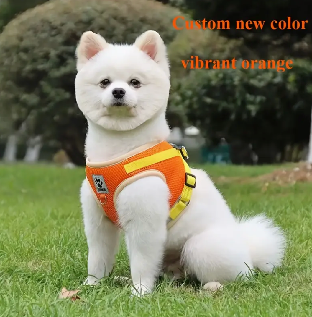Cat & Dog Vest-Style Harness with Leash – Adjustable Escape-Proof Safety Set