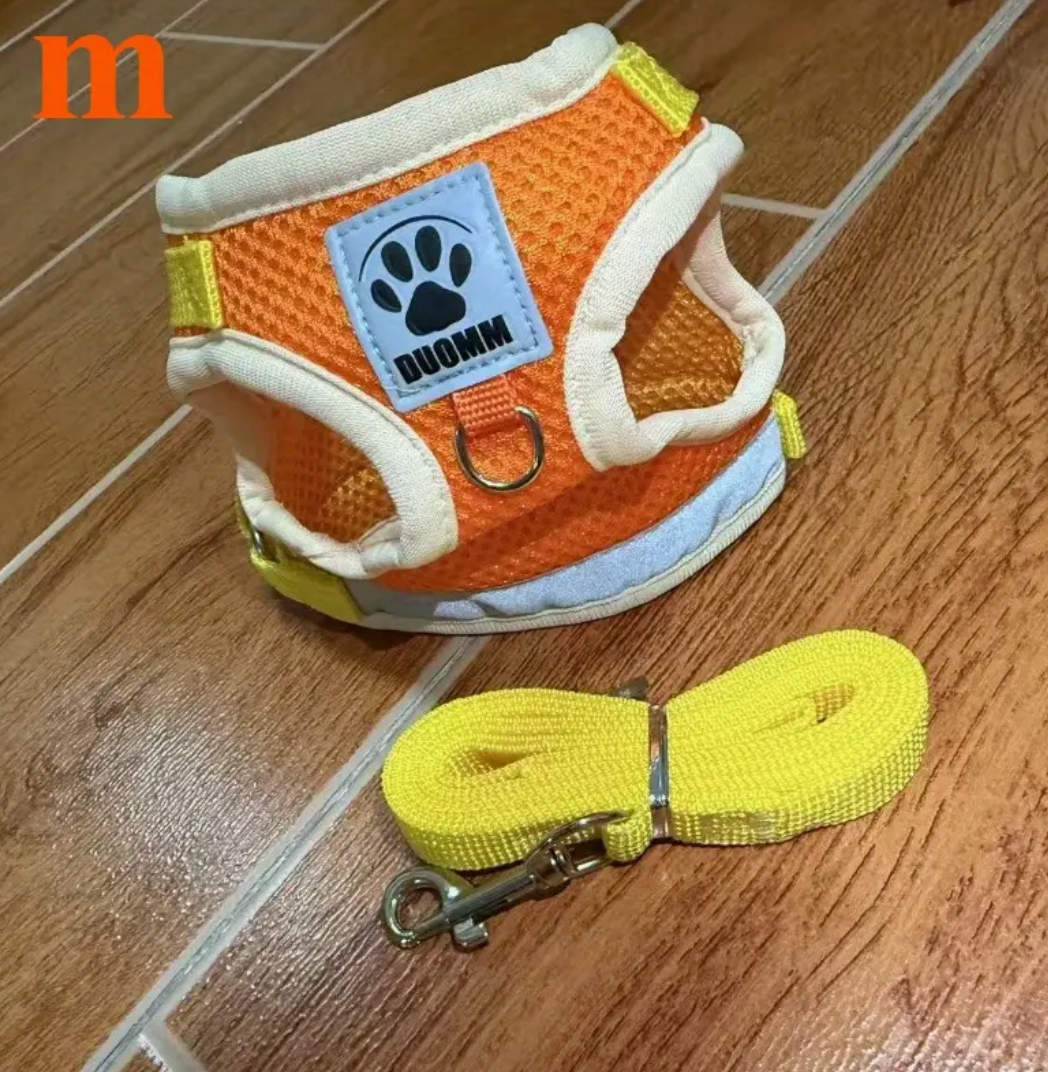 Cat & Dog Vest-Style Harness with Leash – Adjustable Escape-Proof Safety Set