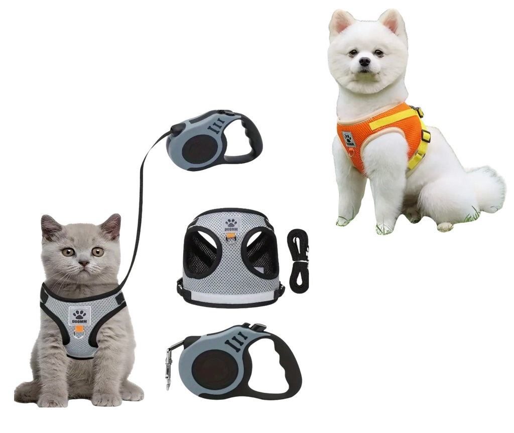 Cat & Dog Vest-Style Harness with Leash – Adjustable Escape-Proof Safety Set