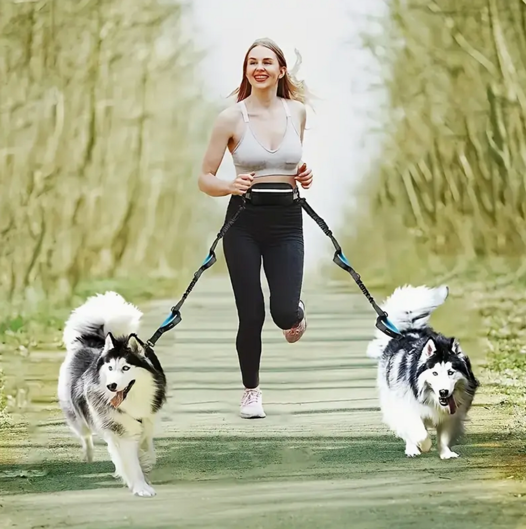 Adjustable Hands-Free Dog Running Leash – Dual Handles & Elastic Retractable Rope