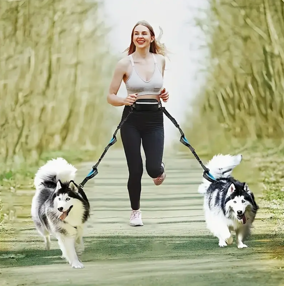 Adjustable Hands-Free Dog Running Leash – Dual Handles & Elastic Retractable Rope