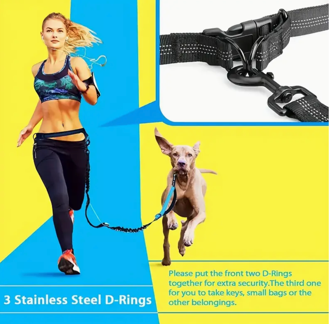 Adjustable Hands-Free Dog Running Leash – Dual Handles & Elastic Retractable Rope